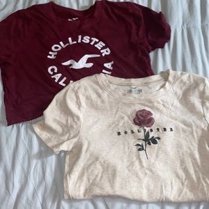 Hollister T shirts